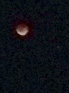 bloodmoon1