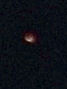 bloodmoon2