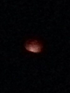 bloodmoon4