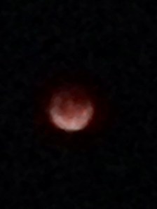 bloodmoon5