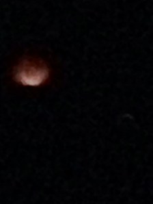 bloodmoon6